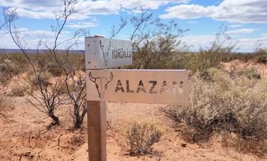 PUEBLO VACA MUERTA FINCAS DE UNA HECTAREA EN SENILLOSA