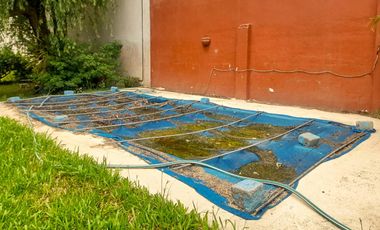 Benavidez, Casa con parque, pileta, quincho