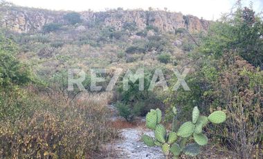 TERRENO PARA INVERSIÓN - (3)