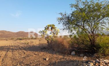 TERRENO EN VENTA - (3)