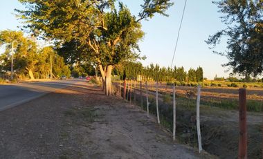 Lotes - Medanito Rawson