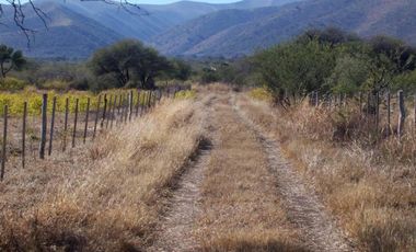 3 Excelentes Fracciones de 5 Ha / Zona Uritorco / Título Per