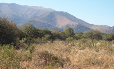3 Excelentes Fracciones de 5 Ha / Zona Uritorco / Título Per