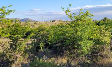 Exclusivo Campo de 16 Ha Villa Giardino