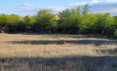 Exclusivo Campo de 16 Ha Villa Giardino