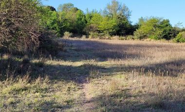 Exclusivo Campo de 16 Ha Villa Giardino