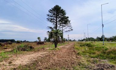 TERRENO 6 HAS S/RUTA 118 SANTA ROSA CORRIENTES