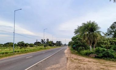 TERRENO 6 HAS S/RUTA 118 SANTA ROSA CORRIENTES