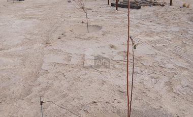 Terreno habitacional en venta en Samalayuca, Juárez, Chihuahua