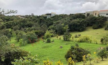 ¡Precio de Oportunidad! Lote o Casa lote en Macadamia del Rio, La Calera