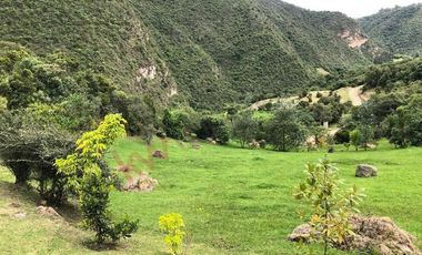 ¡Precio de Oportunidad! Lote o Casa lote en Macadamia del Rio, La Calera