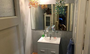 Importante casa 250 m2 cubiertos, parque y pileta. Terreno 418 m2. Vicente López