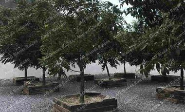 QUINTA EN RINCONADA COLONIAL GARCIA