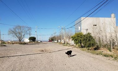 Galpón - Ciudad Industrial Jaime de Nevares