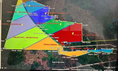 TERRENOS PARA DESARROLLO RESIDENCIAL E INDUSTRIAL TIXCACAL, YUC