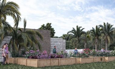 Terrenos en venta en Punta Mita – Exclusividad cerca de Playa Litibú