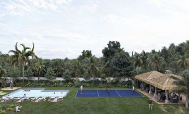 Terrenos en venta en Punta Mita – Exclusividad cerca de Playa Litibú