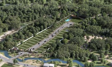 Terrenos en venta en Punta Mita – Exclusividad cerca de Playa Litibú