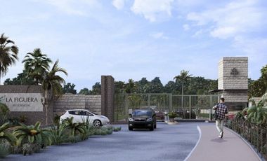 Terrenos en venta en Punta Mita – Exclusividad cerca de Playa Litibú