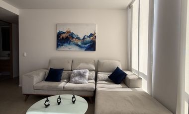 Departamento de Lujo Amueblado en Renta Ventura, Zona Real