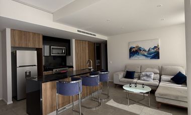 Departamento de Lujo Amueblado en Renta Ventura, Zona Real