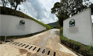 LOTES EN PARCELACION EN SAN CARLOS