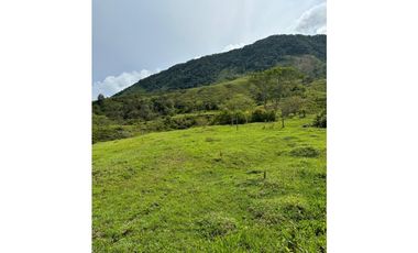 LOTES EN PARCELACION EN SAN CARLOS