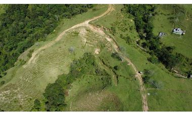 LOTES EN PARCELACION EN SAN CARLOS