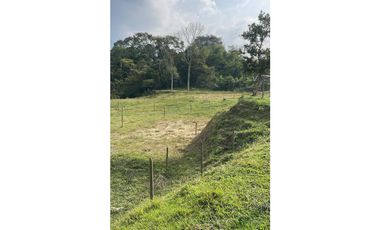 LOTES EN PARCELACION EN SAN CARLOS