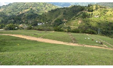 LOTES EN PARCELACION EN SAN CARLOS