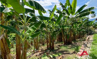 Vista🔥 Finca en la vía Alcalá-Cartago