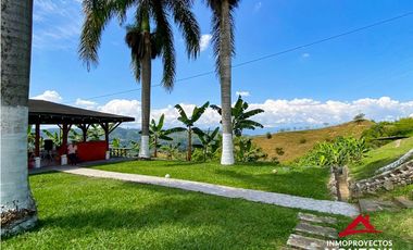 Vista🔥 Finca en la vía Alcalá-Cartago