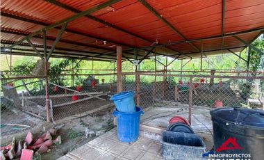 Vista🔥 Finca en la vía Alcalá-Cartago