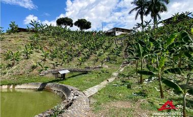 Vista🔥 Finca en la vía Alcalá-Cartago