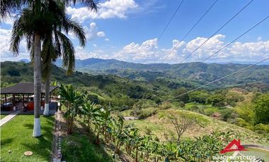 Vista🔥 Finca en la vía Alcalá-Cartago