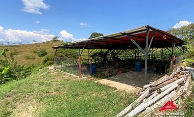 Vista🔥 Finca en la vía Alcalá-Cartago