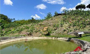 Vista🔥 Finca en la vía Alcalá-Cartago