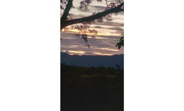 Se Vende Chalet Campestre Quimbaya Quindio 8420241