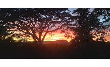 Se Vende Chalet Campestre Quimbaya Quindio 8420241