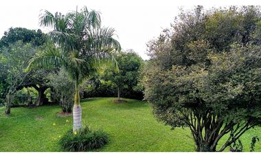 Se Vende Chalet Campestre Quimbaya Quindio 8420241