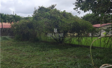 VENDO TERRENO EN CORONADO (18)