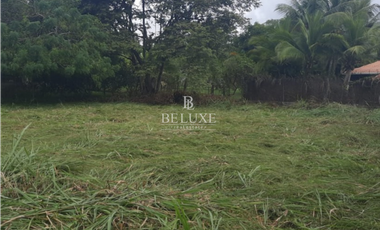 VENDO TERRENO EN CORONADO (18)