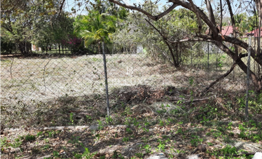 VENDO TERRENO EN CORONADO (18)