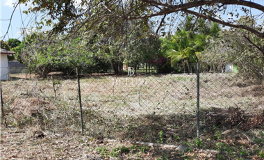 VENDO TERRENO EN CORONADO (18)