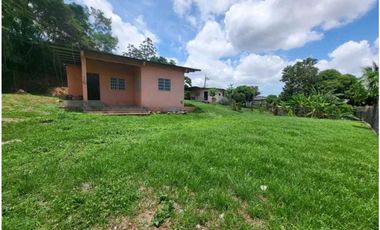 VENDO TERRENO CON DOS CASAS INCLUIDAS CHORRERA GUADALUPE