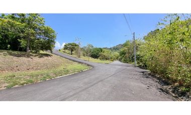 Proyecto Residencial en La Mesa de San Martin *AD