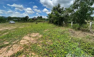 Land for sale in Tha Sut, Chiang Rai