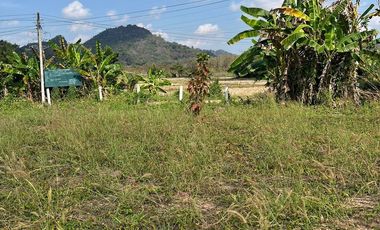 Land for sale in Tha Sut, Chiang Rai