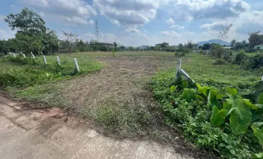 Land for sale in Tha Sut, Chiang Rai