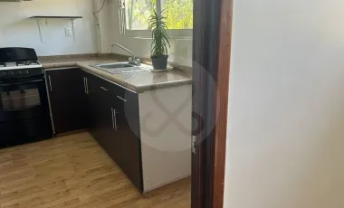 Oficina en renta en Barrio Santa Catarina